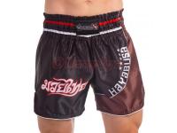       HAYABUSA LOIN WARRIOR VL-0240 S-L -